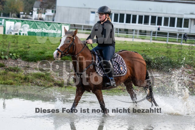 IGV Lehrgang der Sieger der Cups mit Frank Ostholt