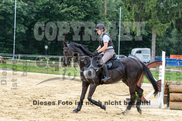 Hunter Geländetraining 10.07.2021 (Sonsbeck)