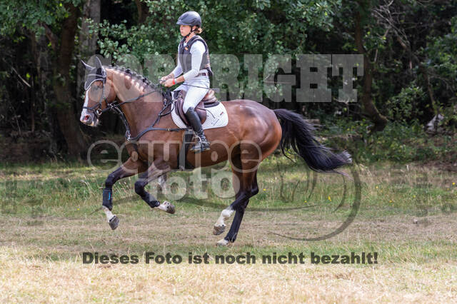 Late-Entry Vielseitigkeit Hamminkeln/Wesel (01.+02.08.2020)
