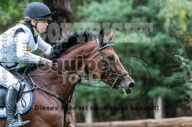 Vielseitigkeit RSV Wesel Obrighoven (26.+27.09.2020)