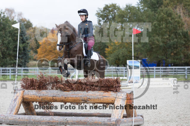 IGV Lehrgang der Sieger der Cups mit Frank Ostholt
