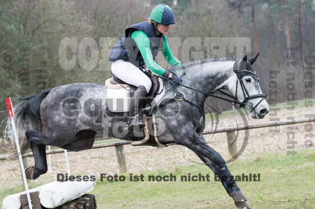 Jungpferdetag Hamminkeln