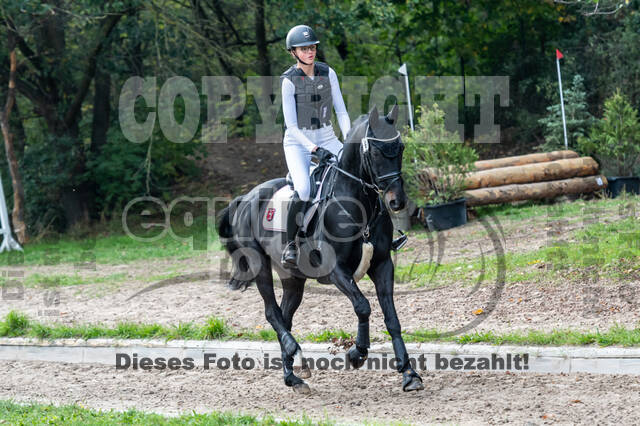 Goldene Schärpe 2020 - Pferde