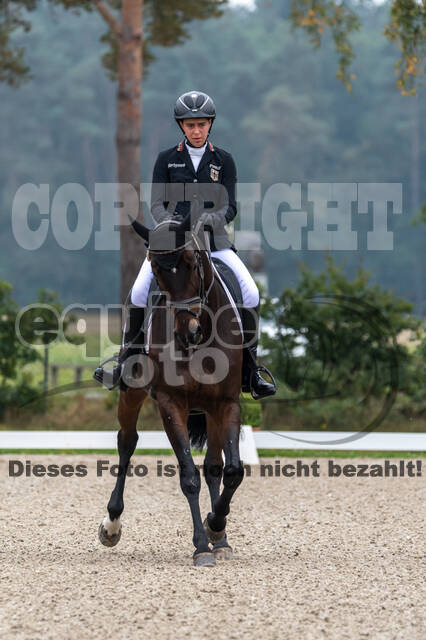 Deutsche Meisterschaft Vielseitigkeit (Luhmühlen)