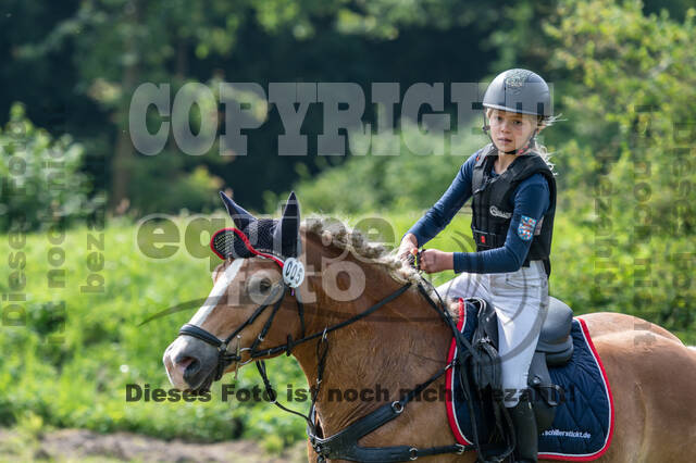 Goldene Schärpe 2021 - Ponys