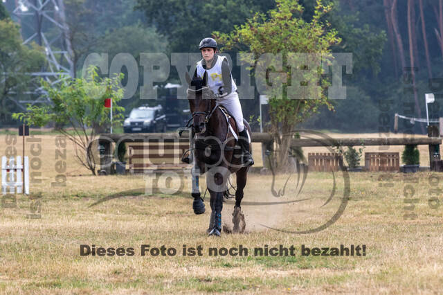 Late-Entry Vielseitigkeit Hamminkeln/Wesel (01.+02.08.2020)