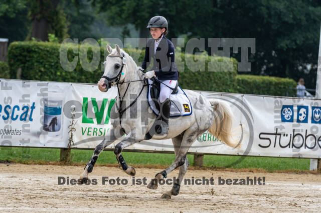 Goldene Schärpe 2021 - Ponys