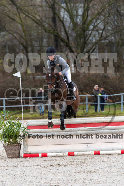 Eventing im Pferdesportzentrum Rheinland (Late Entry 14.03.2022)