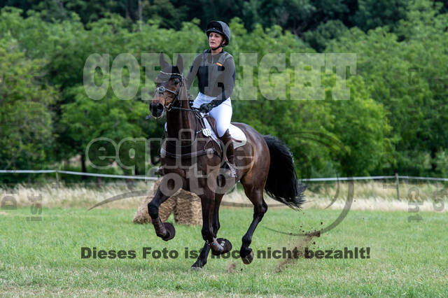 Bonn-Rodderberg Late-Entry-Vielseitigkeit (30.06.2020)