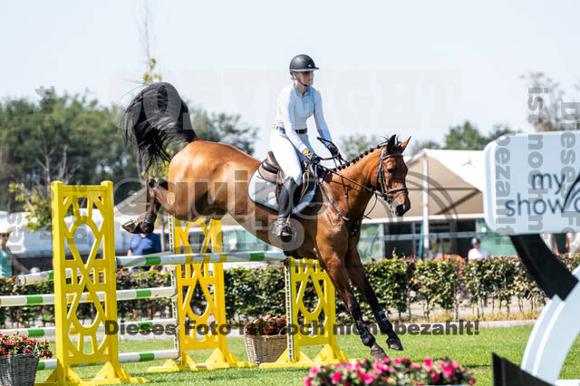 Kronenberg - De Peelbergen (August 2020)