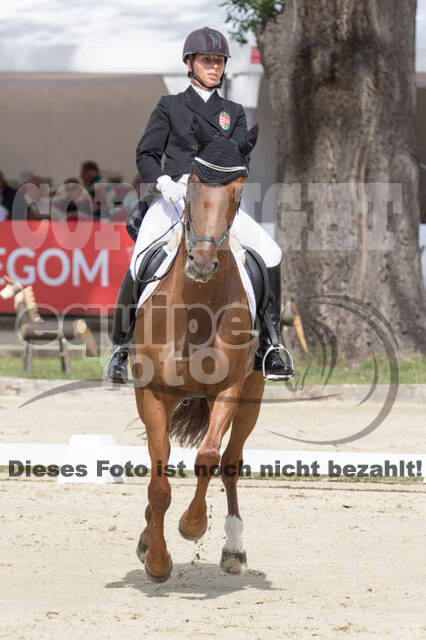 FEI European Championship Eventing 2017