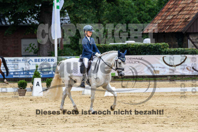 Goldene Schärpe 2021 - Ponys