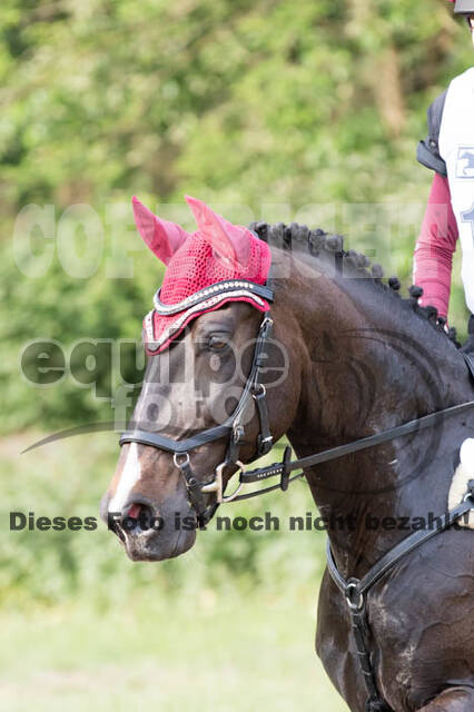 Vielseitigkeitsturnier ZRFV von Lützow Hamminkeln