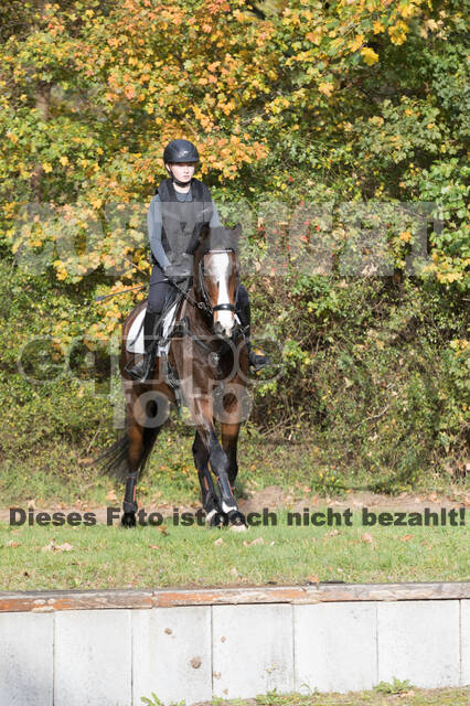 IGV Lehrgang der Sieger der Cups mit Frank Ostholt