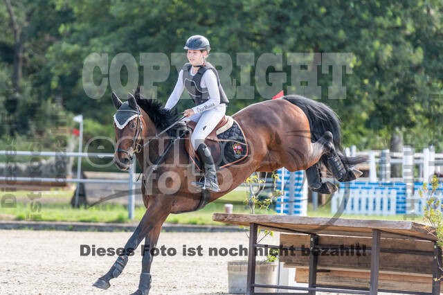 Late-Entry-Vielseitigkeit Langenfeld (11.+13./14.06.2020)