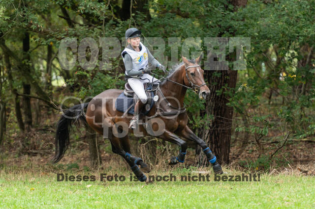 Vielseitigkeit RSV Wesel Obrighoven (26.+27.09.2020)