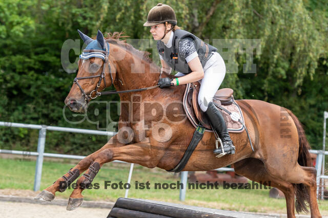 Late-Entry-Vielseitigkeit Langenfeld (11.+13./14.06.2020)