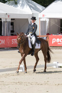 FEI European Championship Eventing 2017