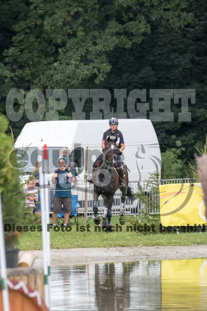 FEI European Championship
