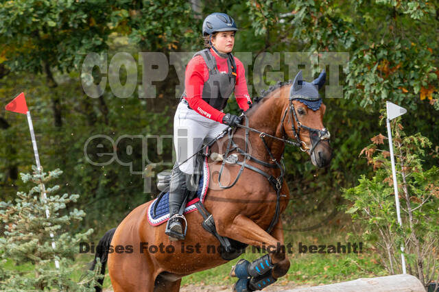 Goldene Schärpe 2020 - Pferde