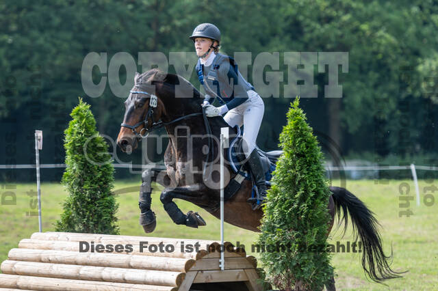 Goldene Schärpe 2021 - Ponys