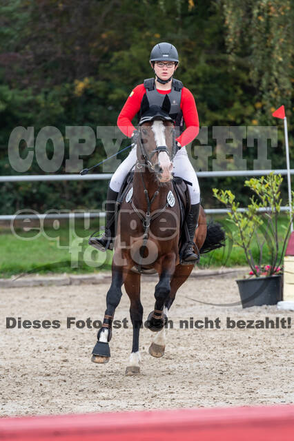 Goldene Schärpe 2020 - Pferde