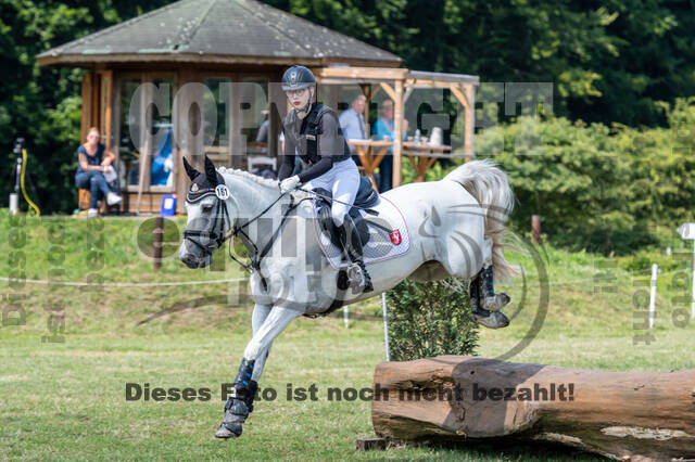 Goldene Schärpe 2021 - Ponys