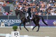 FEI European Championship Eventing 2019