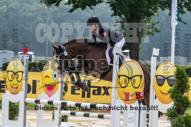 Goldene Schärpe 2021 - Ponys