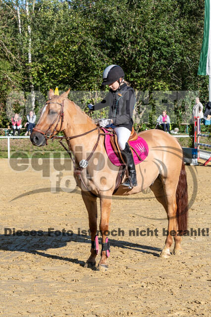 RFV Dinslaken-Hiesfeld (Herbstturnier)