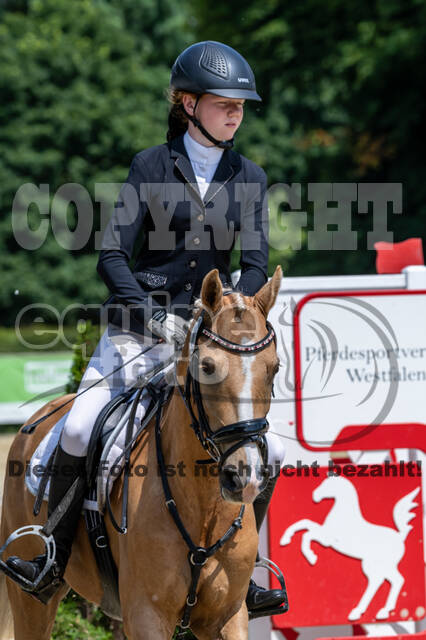 Goldene Schärpe 2021 - Ponys