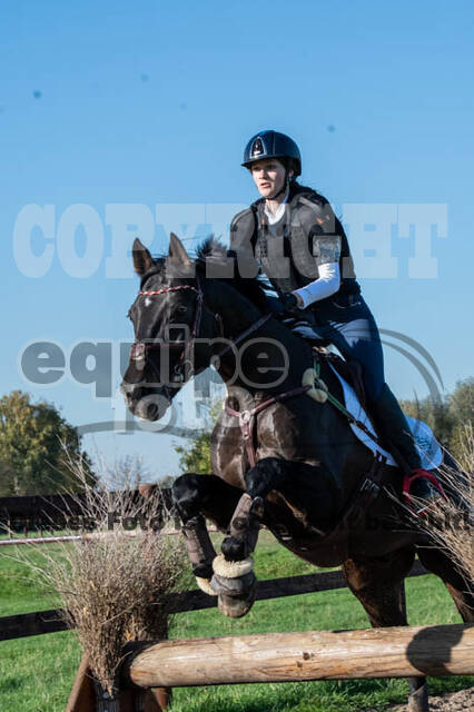 Vielseitigkeitslehrgang mit Jürg Kurbel (9.+10.11.2019)