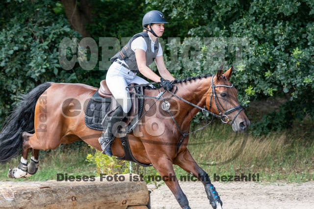 Late-Entry-Vielseitigkeit Langenfeld (06.+07.07.2020)