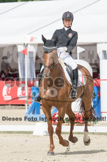 FEI European Championship Eventing 2017