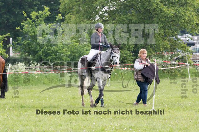 Vielseitigkeitsturnier ZRFV von Lützow Hamminkeln