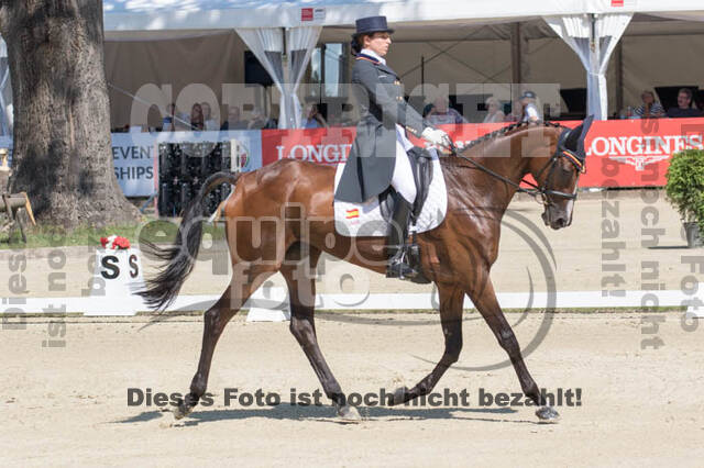 FEI European Championship Eventing 2017