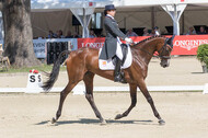 FEI European Championship Eventing 2017