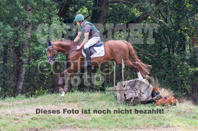 Late-Entry Vielseitigkeit Hamminkeln/Wesel (01.+02.08.2020)