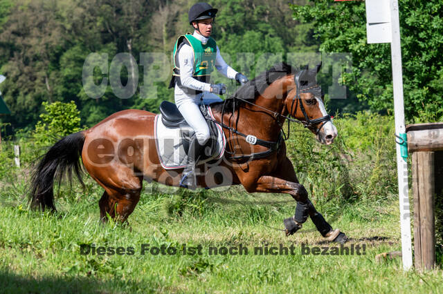 Westerstede Horse Trials (10.-13.06.2021)