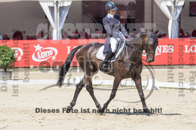 FEI European Championship
