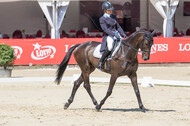 FEI European Championship