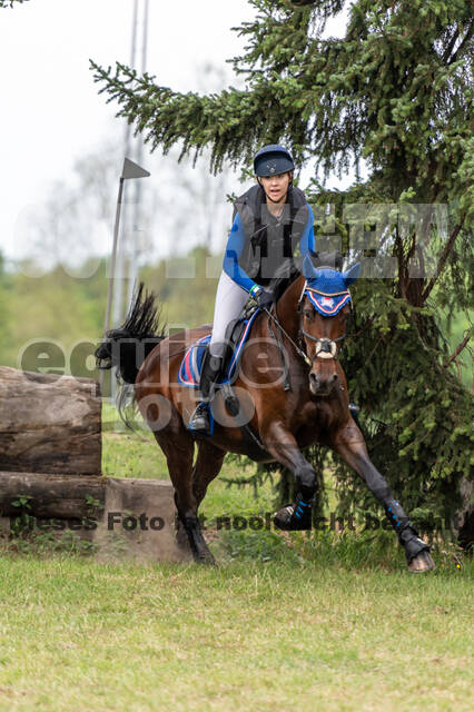 Late-Entry-Vielseitigkeit Langenfeld (11.+13./14.06.2020)