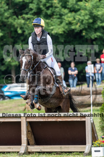 Goldene Schärpe 2021 - Ponys