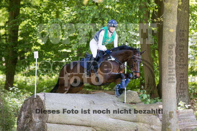 Sterne über Münster 2019 - CCI***S