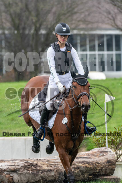 Goldene Schärpe 2020 - Pferde