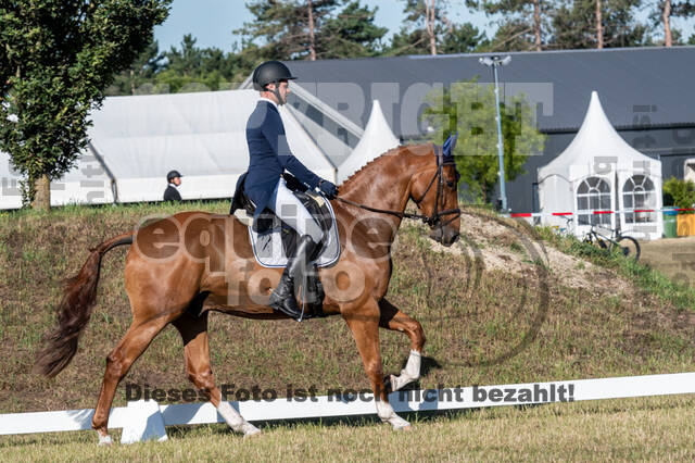 Kronenberg - De Peelbergen (August 2020)