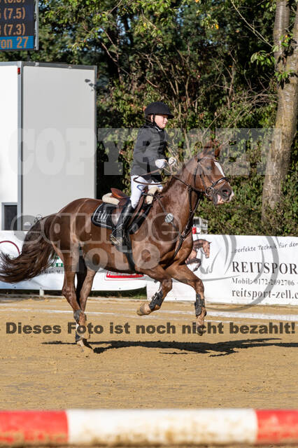 RFV Dinslaken-Hiesfeld (Herbstturnier)
