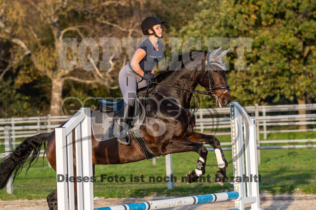 IGV Lehrgang der Sieger der Cups mit Frank Ostholt