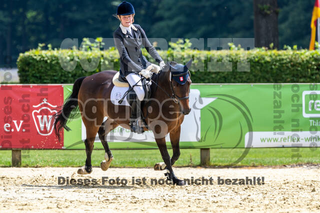 Goldene Schärpe 2021 - Ponys