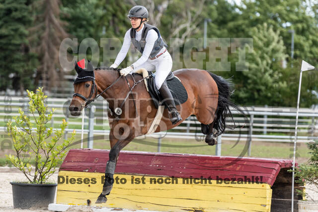 Late-Entry-Vielseitigkeit Langenfeld (06.+07.07.2020)